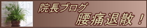 院長ブログ 腰痛退散