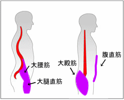 過剰前湾 画像